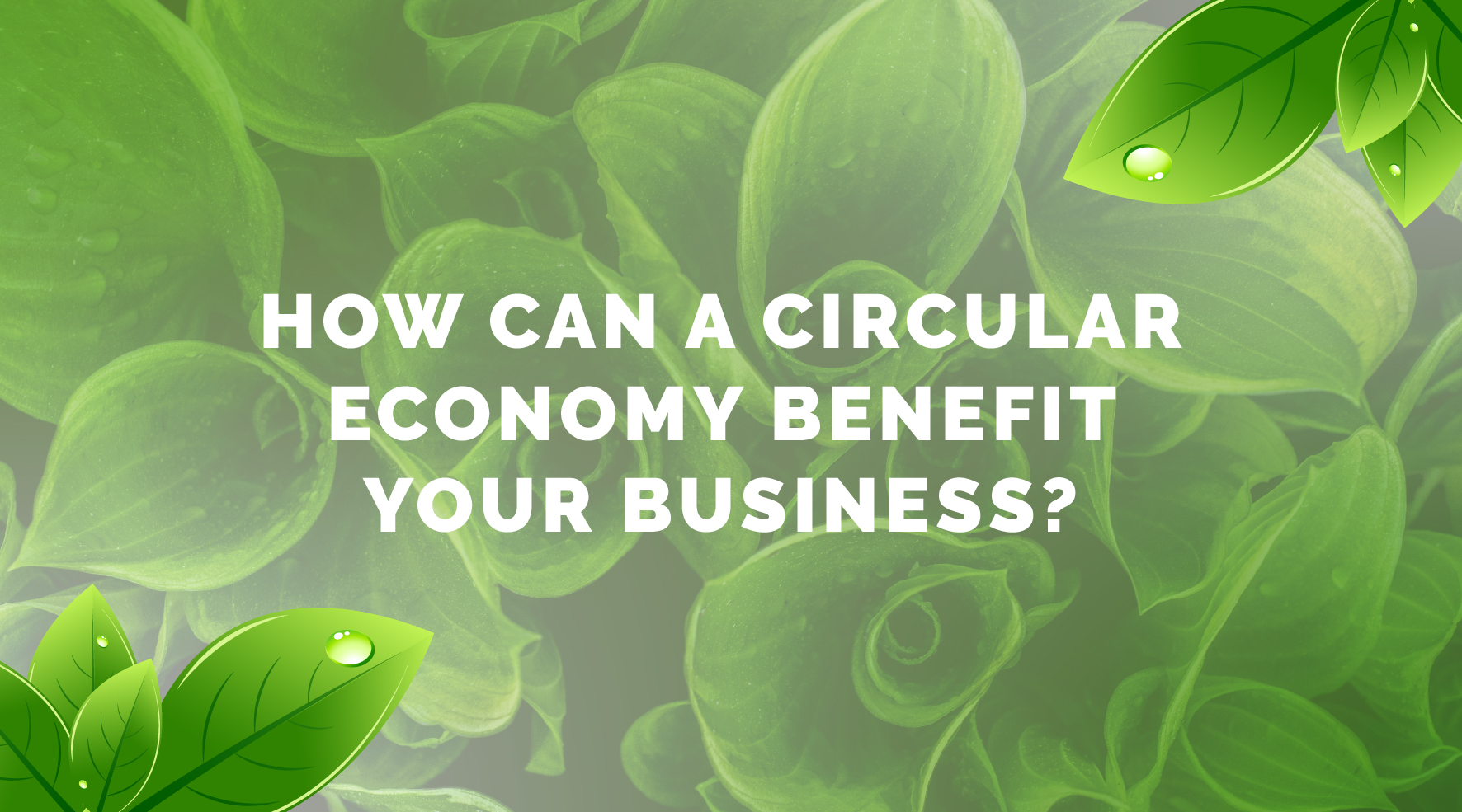 How Can A Circular Economy Benefit Your Business?